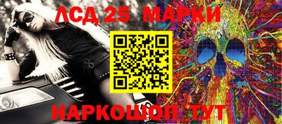 крисы Можга