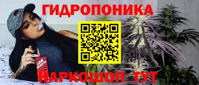 крисы Можга