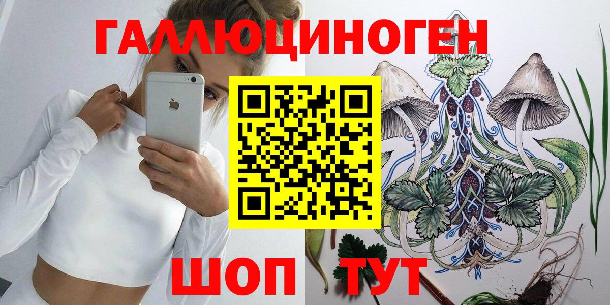 Тверь  Галлюциногенные грибы MAGIC MUSHROOMS  Псилоцибиновые грибы Psilocybe  Вход с VPN 